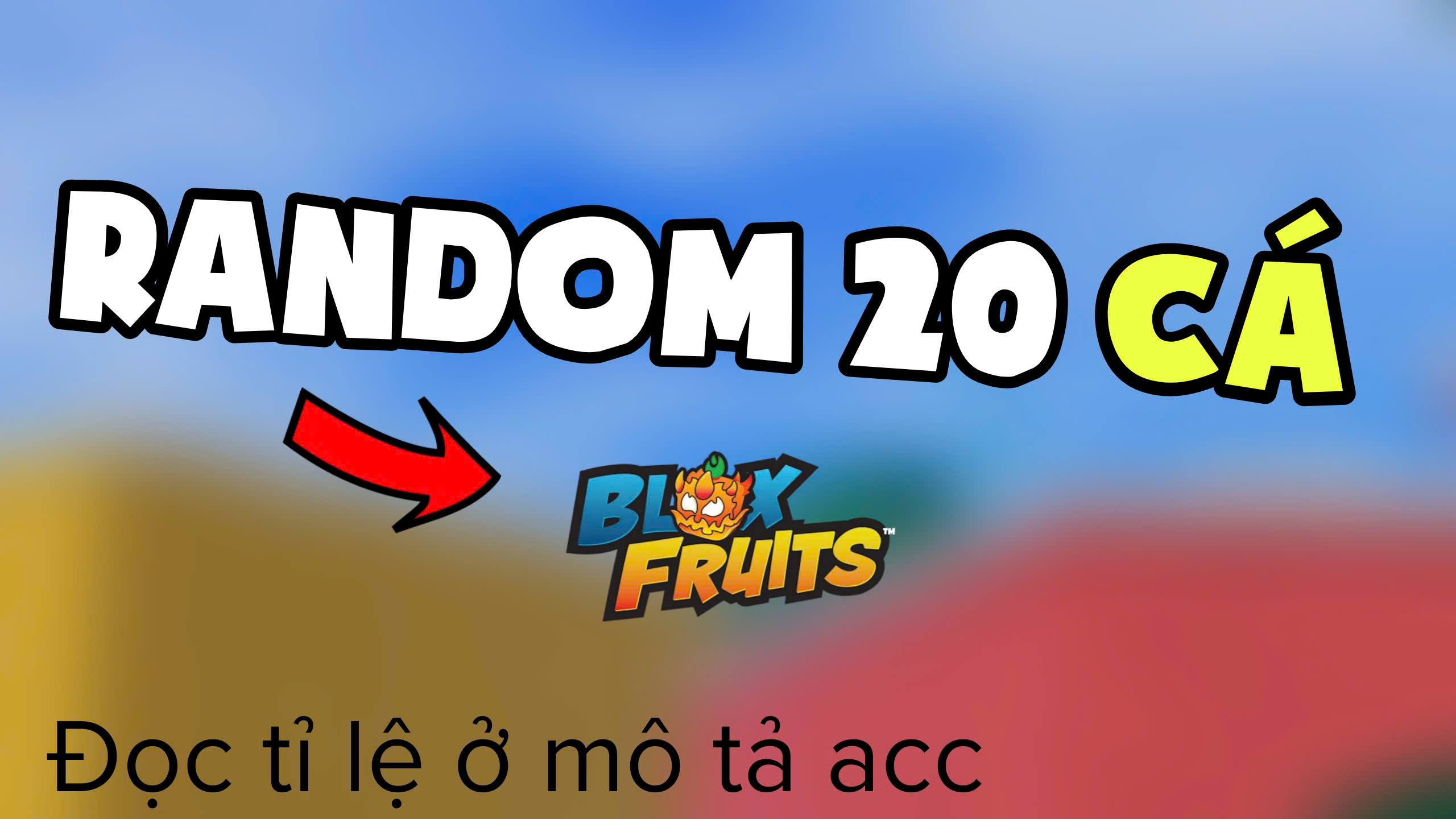 ACC 20K
